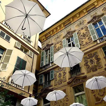Luccoli's Nest *